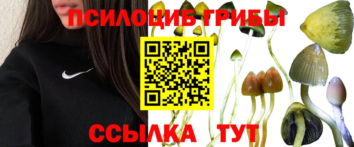 Псилоцибиновые грибы GOLDEN TEACHER Воронеж