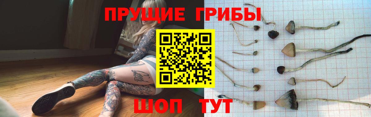 наркота  Вход с VPN  Воронеж  Псилоцибиновые грибы Magic Shrooms 